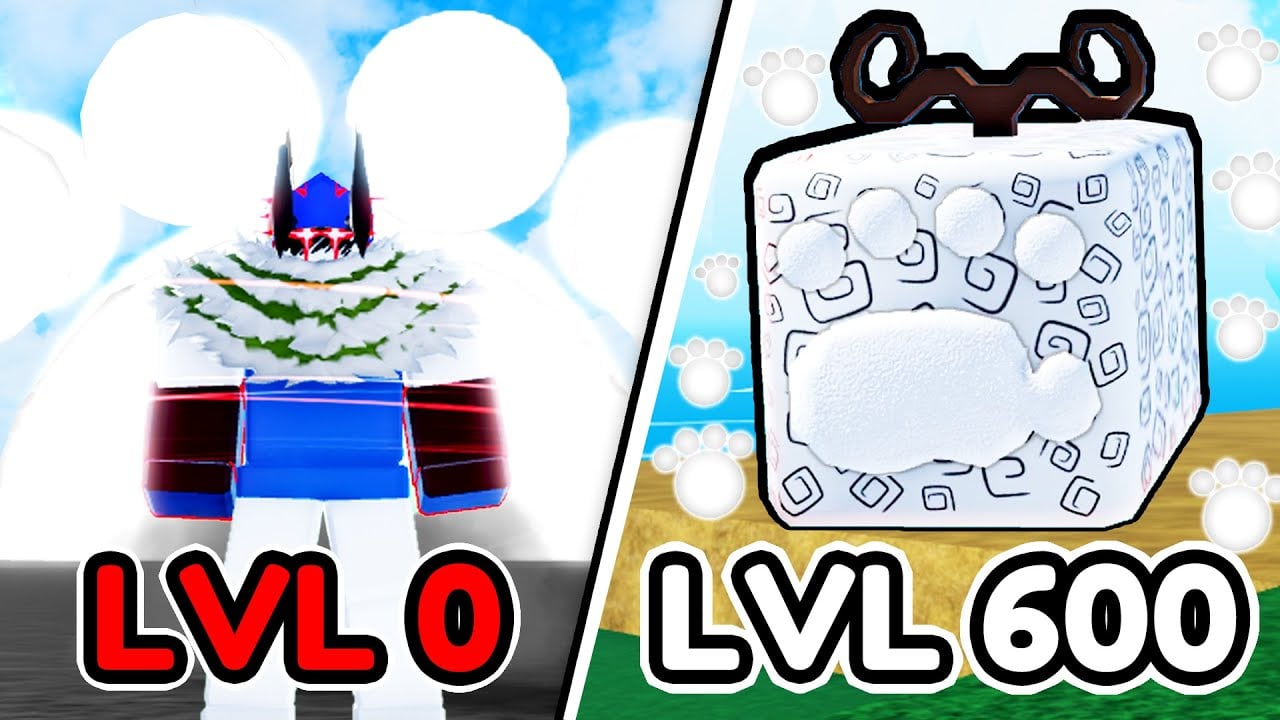 Paw Fruit is Actually a HIDDEN GEM! (Roblox Blox Fruits)