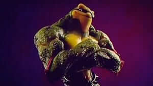 Battletoads1