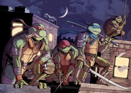 teenage mutant ninja turtles