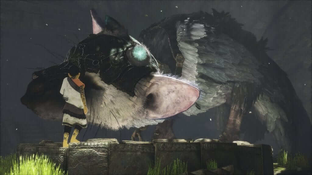 The Last Guardian