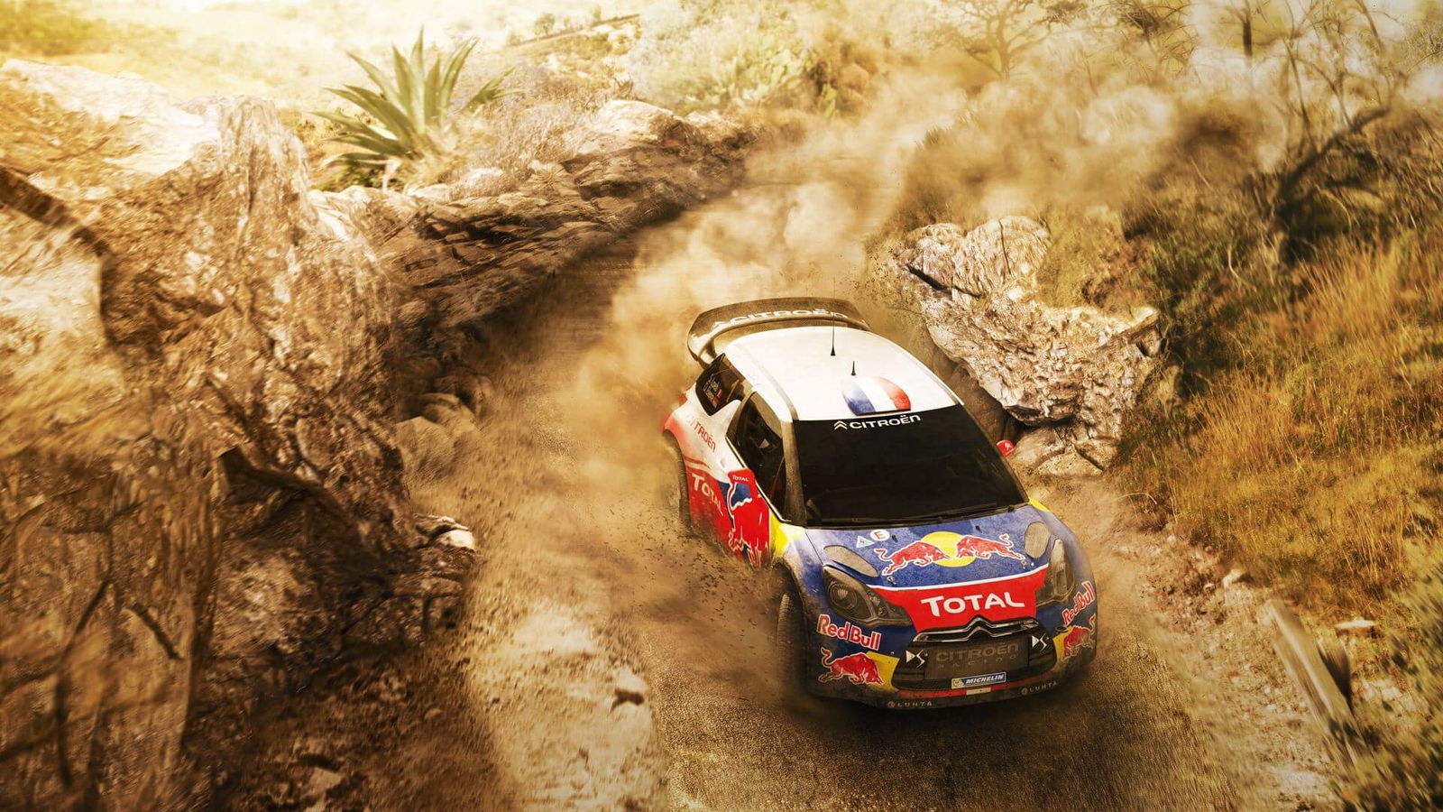 Sebastien Loeb Rally Evo