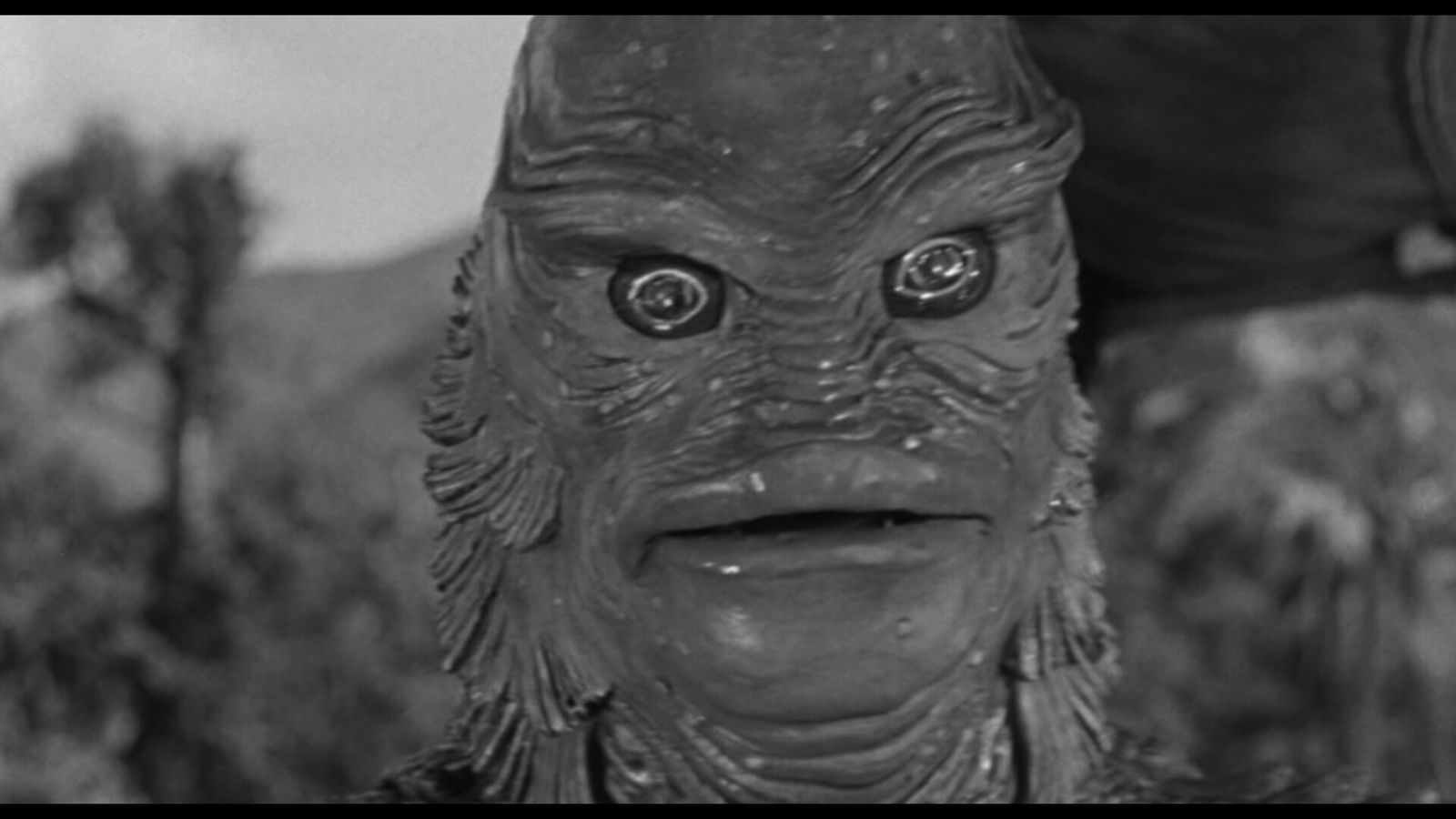 The Creature From The Black Lagoon