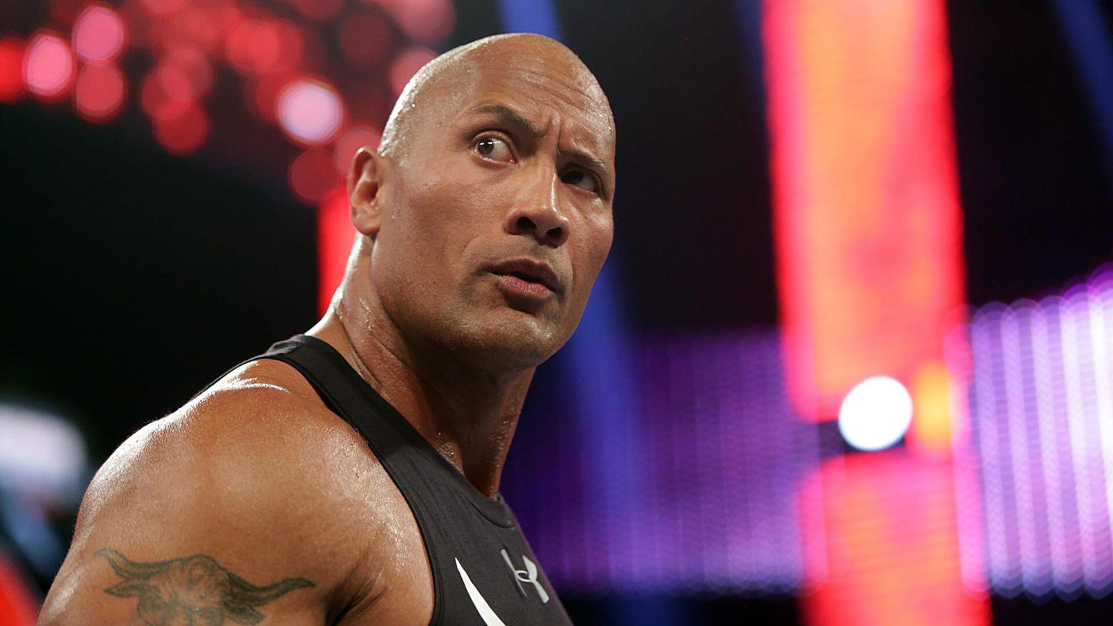 The Rock in WWE