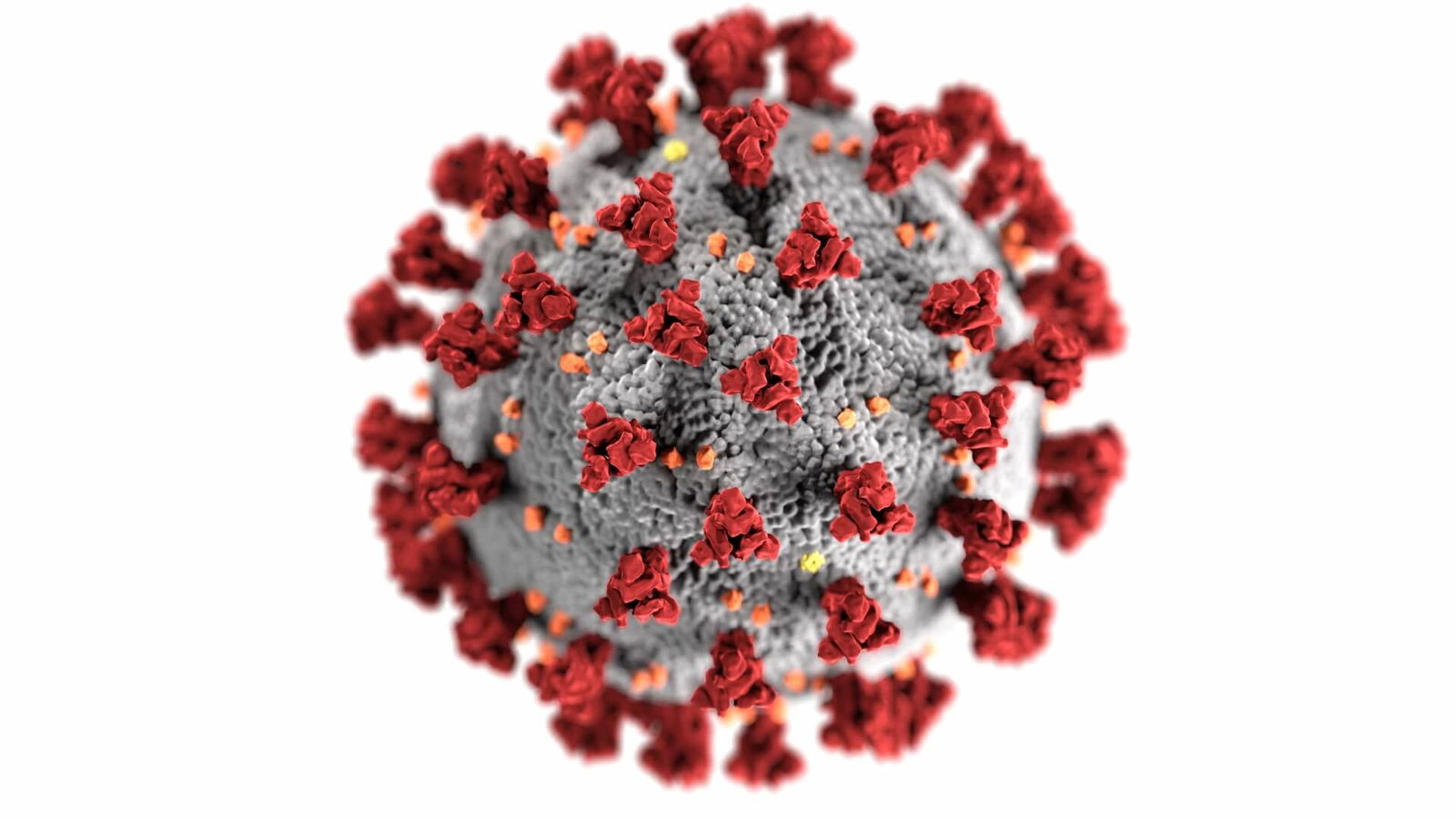 Coronavirus news