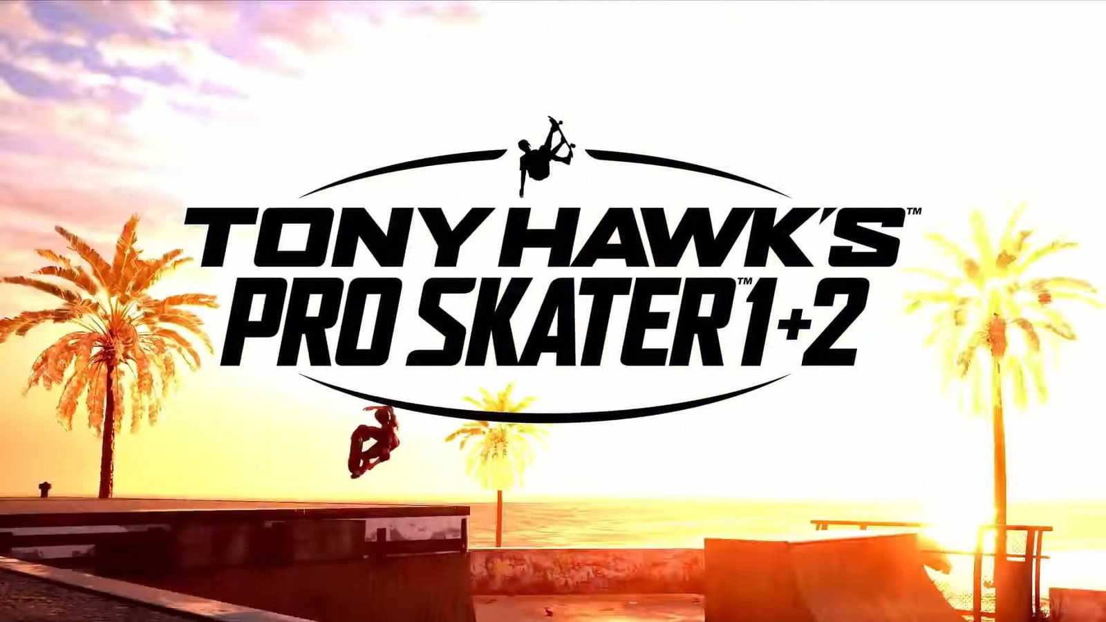 Tony Hawk's