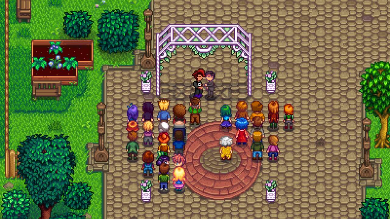 Stardew Valley Marriage Candidate