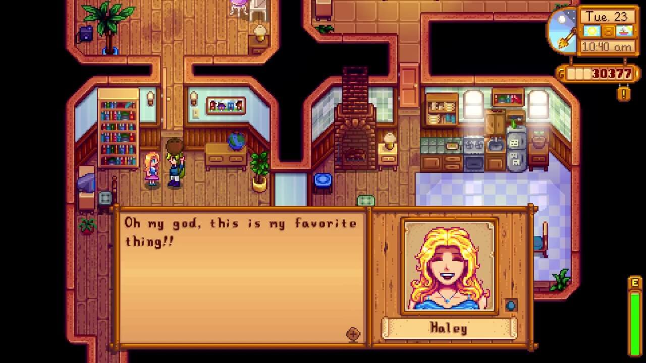 haley stardew valley