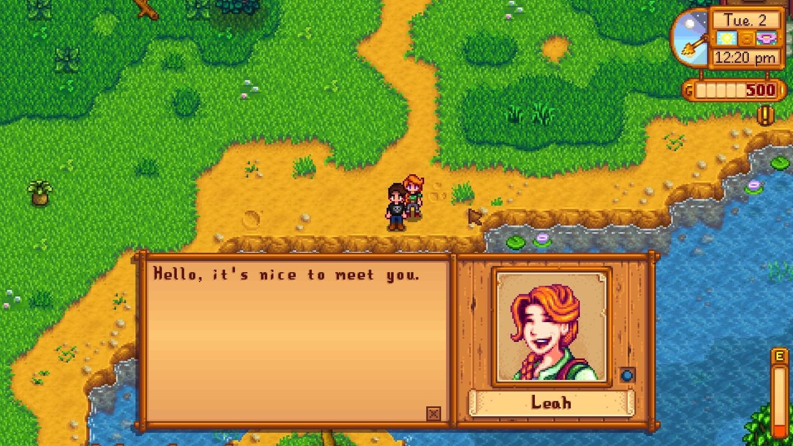 stardew valley leah