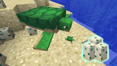 A sea turtle on the beach with some eggs in Minecraft