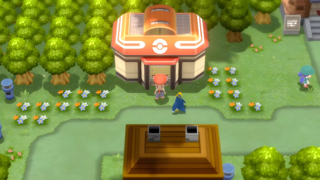 The player approaches the location of the Defog technique in Pokemon Pearl and Diamond