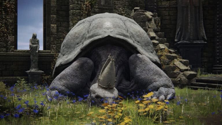 A giant tortoise in the Church of Vows in Elden Ring