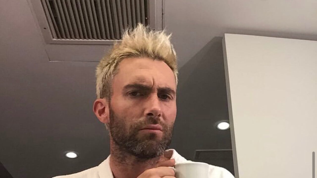 Adam Levine Addresses Alleged Affair With Model Sumner Stroh