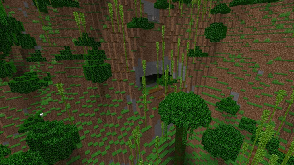 Cave on a Cliff Inside a Bamboo Forest