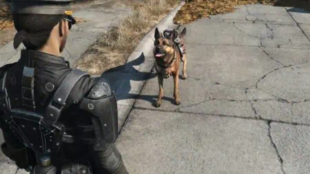 Dogmeat in Fallout 4