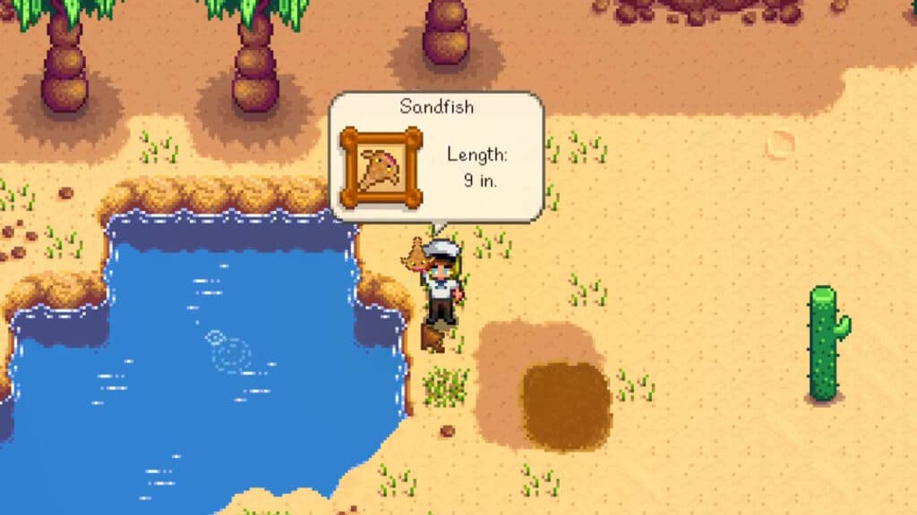 how-to-catch-sandfish-in-stardew-valley