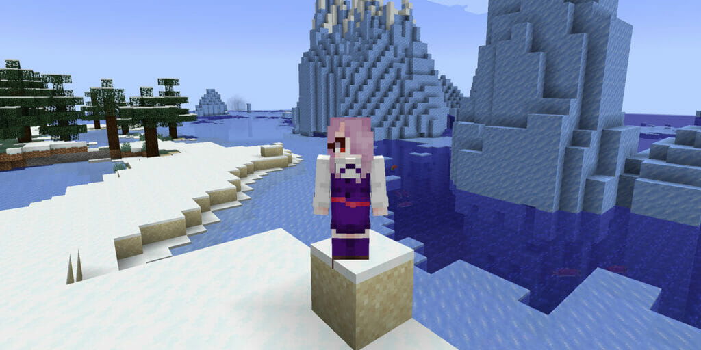 snow beach biome minecraft