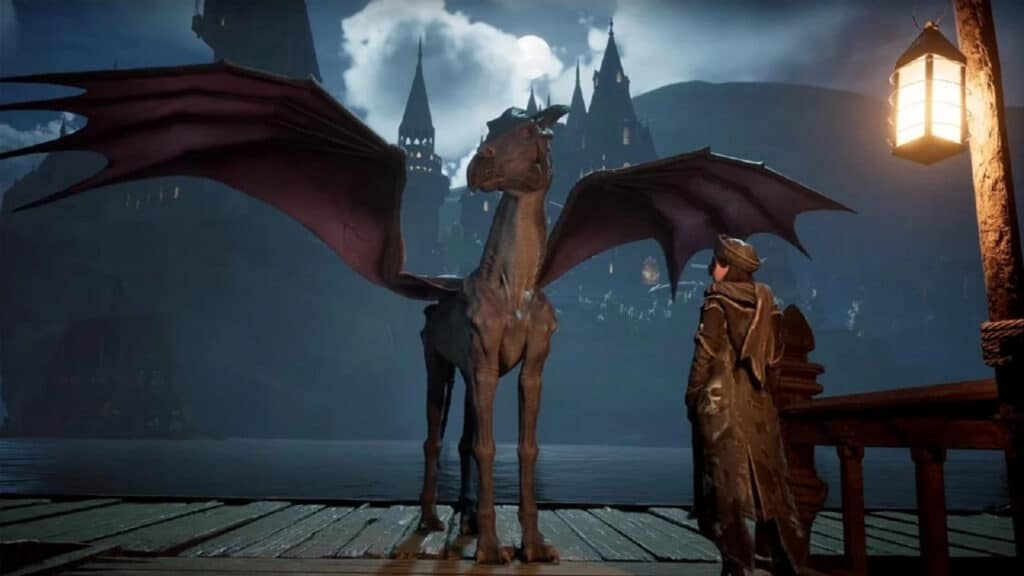 Can you Ride Magical Beasts in Hogwarts Legacy feature