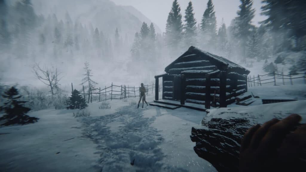 Can you get rid of the snow in Sons of the Forest_ Answered Feature