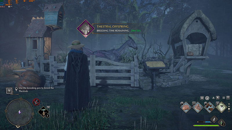 Hogwarts Legacy: How to Complete Foal of the Dead Side Quest