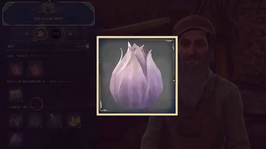 Shrivelfig Fruit in Hogwarts Legacy