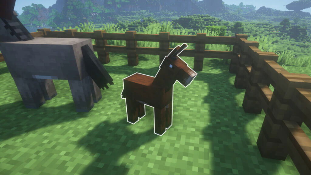 Baby Mules In Minecraft