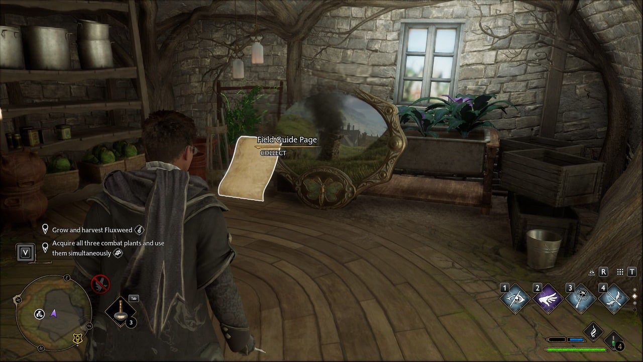 ALL FIELD GUIDE PAGES HOGWARTS VALLEY visual data 2