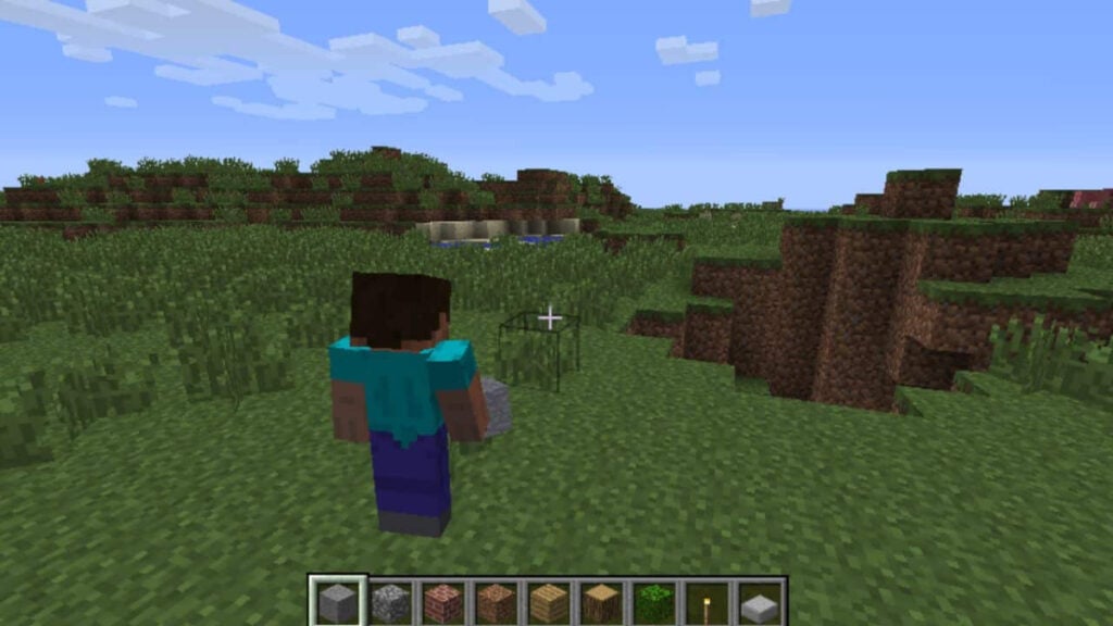 The main character in Minecraft, as seen in third-person mode