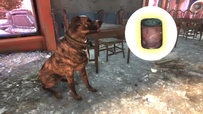 A dog and can of dogfood in Fallout 76