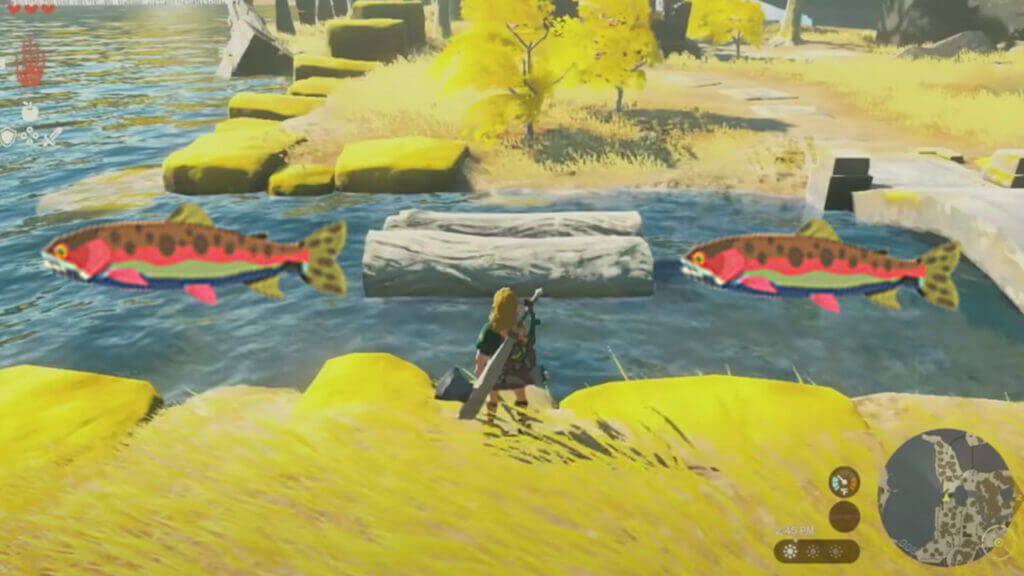 Where To Get Sizzlefin Trout in Zelda Tears of the Kingdom