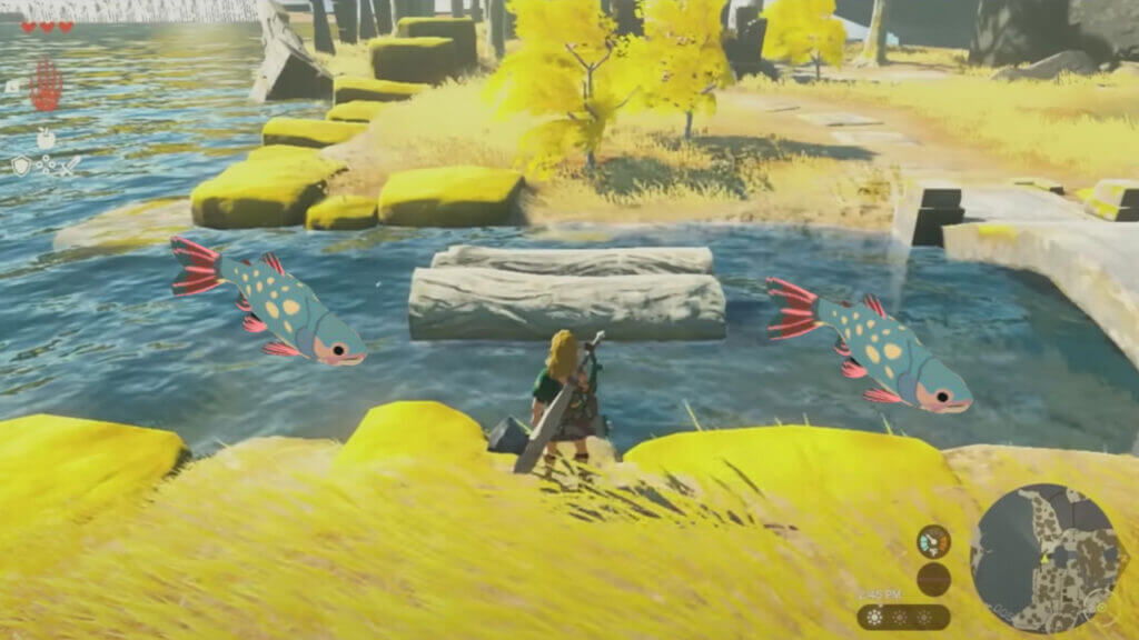 Where To Find Stealthfin Trout in Zelda Tears of the Kingdom