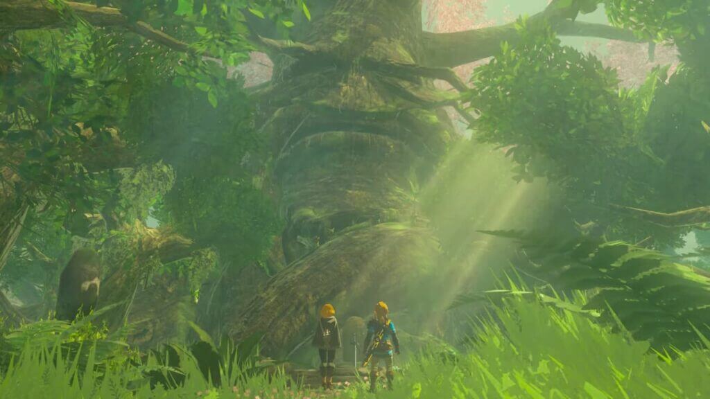 Memory 1 Tears of the Kingdom Great Deku Tree