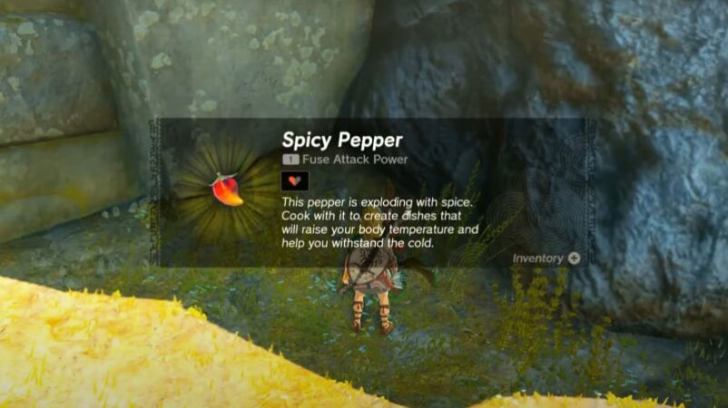 Collecting Spicy Peppers in Zelda Tears of the Kingdom.