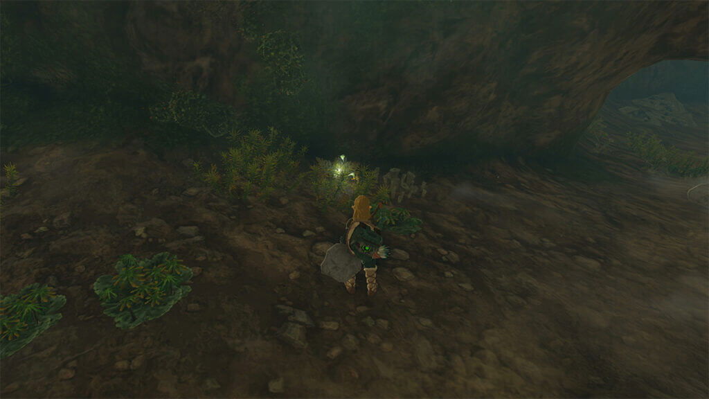 An image of a few Brightbloom Seeds in Zelda Tears of the Kingdom.