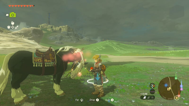 how to feed horses in Zelda Tears of the Kingdom