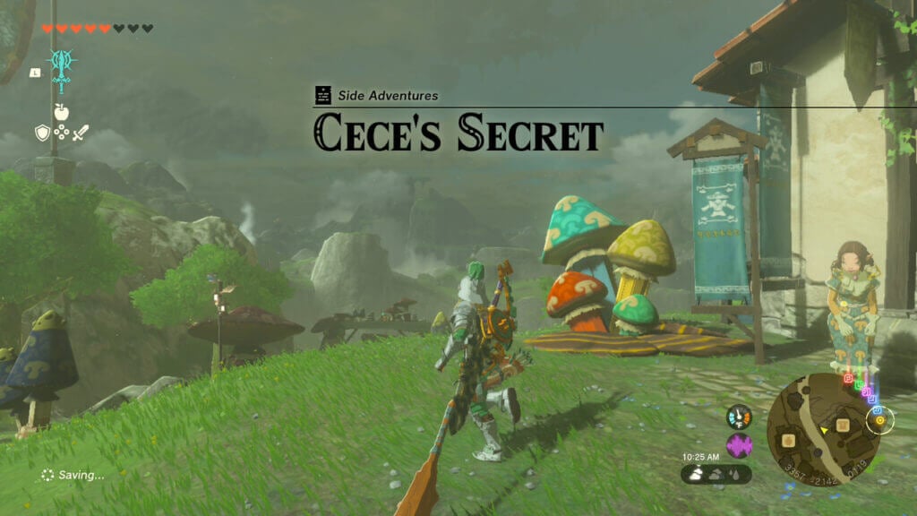 ceces-secret-in-zelda-tears-of-the-kingdom