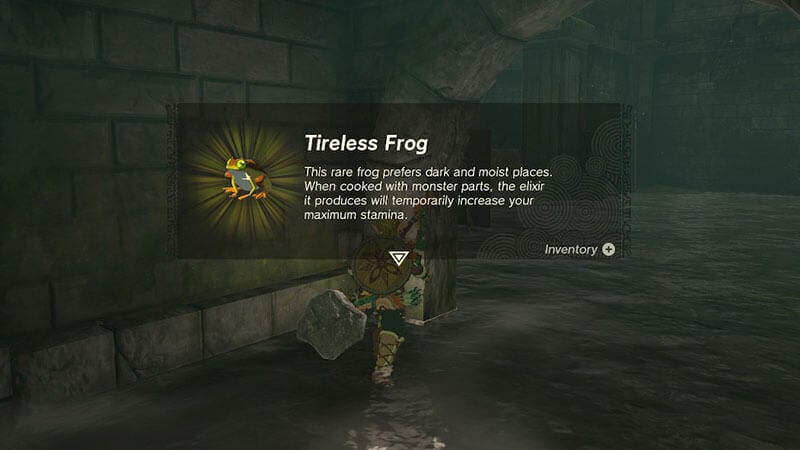 How to Make Elixirs in Zelda Tears of the Kingdom