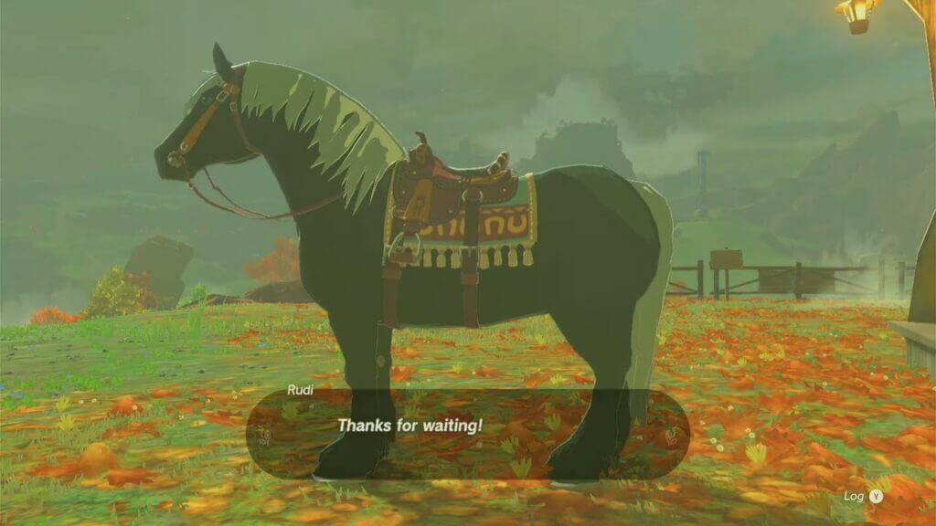 Paraglider Horse-God Fabric is a customization option in Tears of the Kingdom.