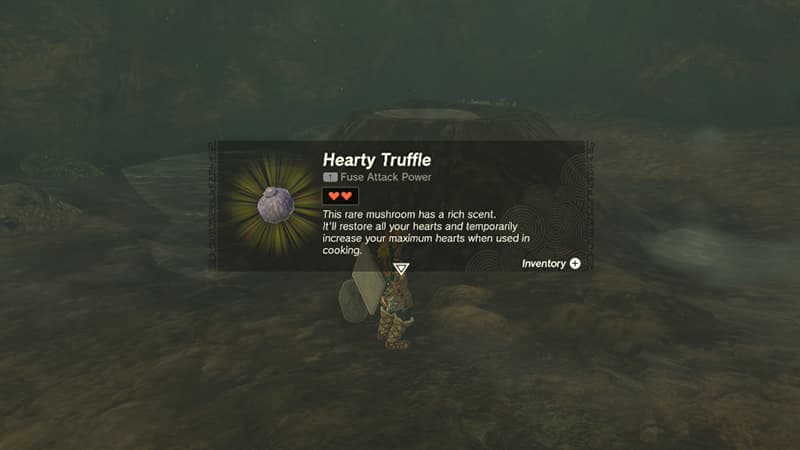 Hearty Truffle location in Out of the Inn