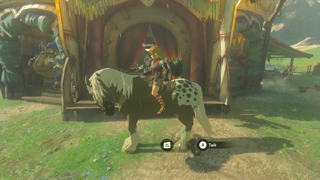 How many horses can you board in Zelda tears of the Kingdom'?