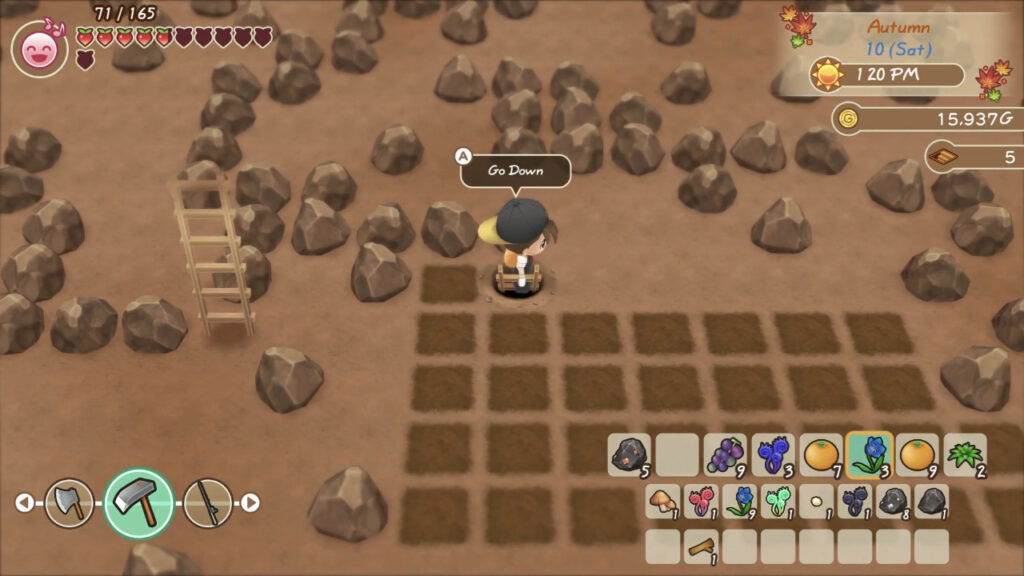 Story of Seasons: Friends of Mineral Town Mine