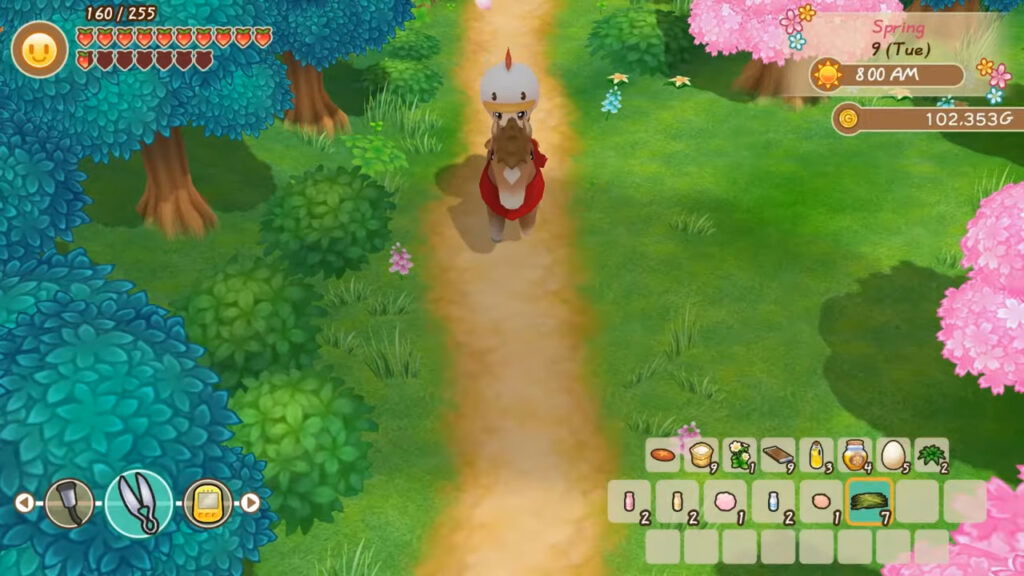 Story of Seasons Friends of Mineral Town Tool and Bag Upgrades