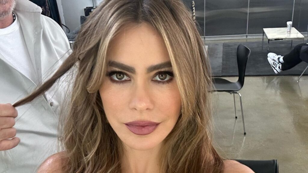 Sofia Vergara close up