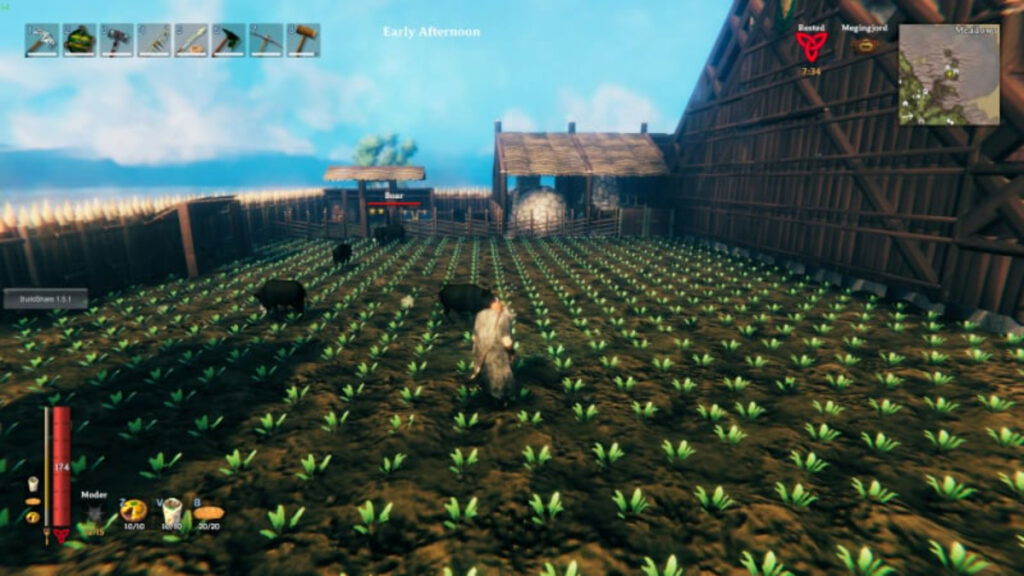 A farm seen during the day in Valheim