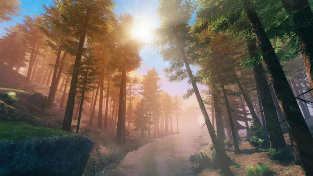 A beautiful, gently lit forest from Valheim's HD mod