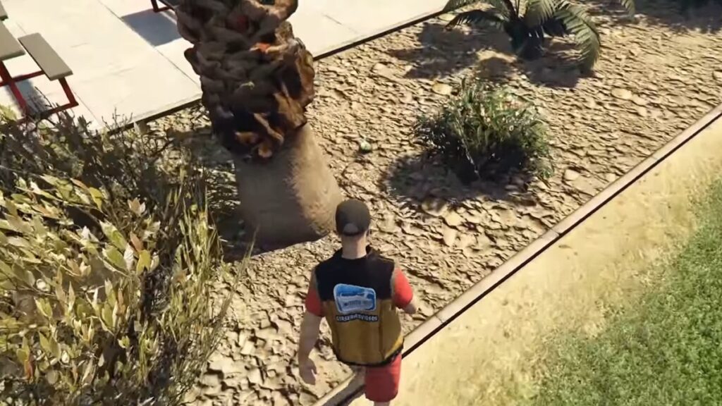 GTA Online Peyote Plants