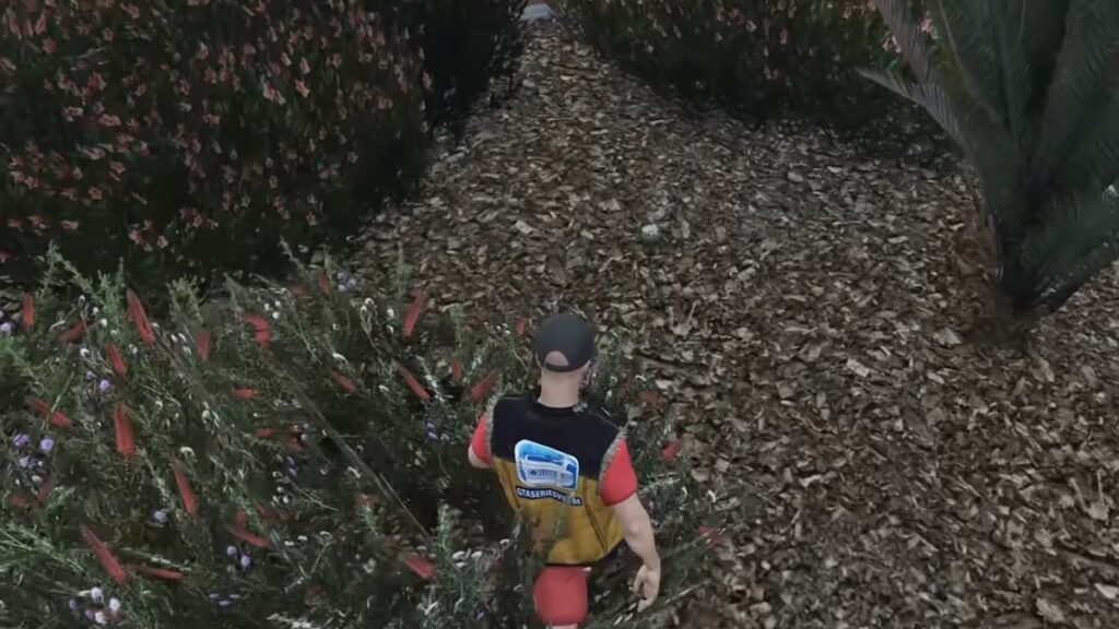 peyote plants gta online