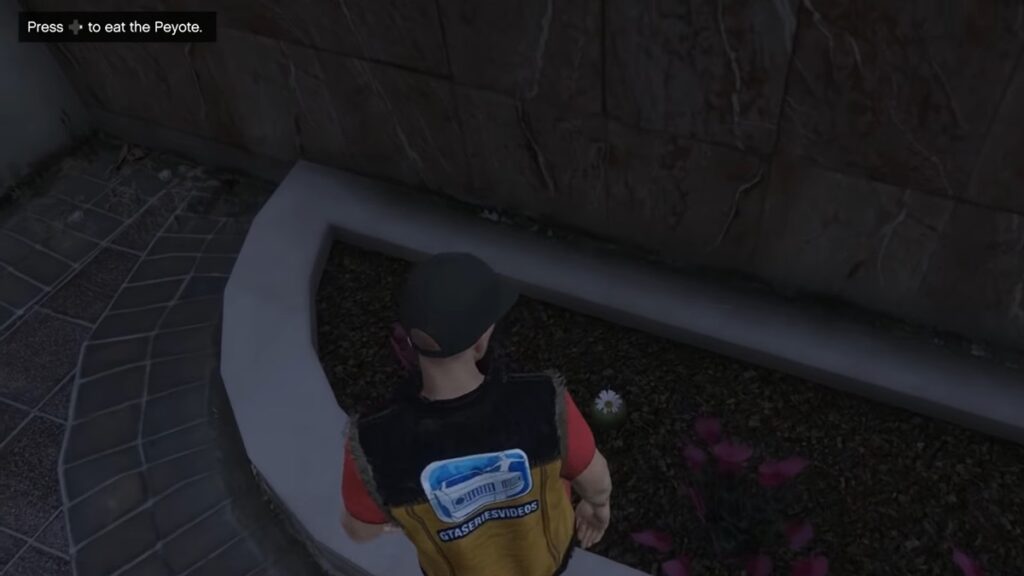 peyote plants gta online