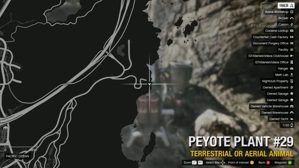 peyote plants gta online