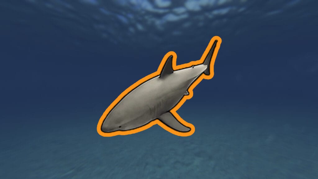 Small shark from Rust