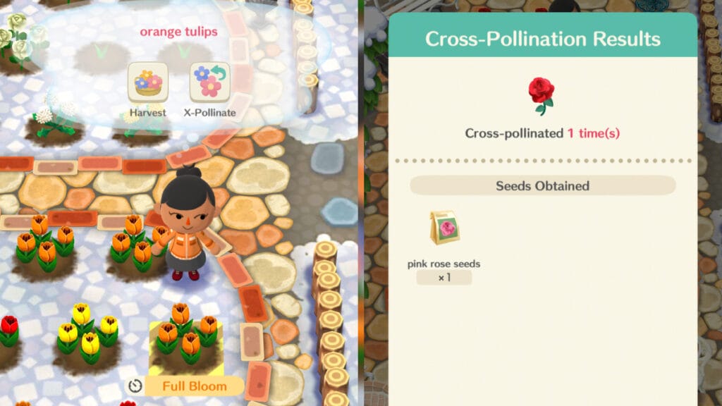 pocket camp flower breeding guide